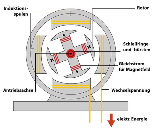 Abb. 7: Schema eines vierpoligen Wechselstromgenerators
