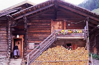 Almidylle bei Matreier Tauernhaus, Osttirol, 1991