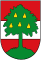 Dornbirn, Vorarlberg (als Bekenntnis der Stadt zu den Habsburgern und klare Abgrenzung zu den benachbarten Hohenemser Grafen)