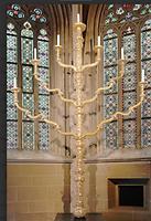 Foto: Alexander Galler Foto: Alexander Galler