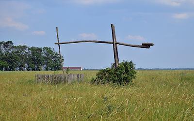 Für die Puszta typischer Ziehbrunnen zwischen Neubruchlacke und Wörthenlacken im Nationalpark Neusiedler See-Seewinkel. Die Ziehbrunnen hatten bis in die Zeit nach dem 2. Weltkrieg große Bedeutung als Viehtränken, denn es gab eine jahrhundertelange extrensive Beweidung des Seewinkels mit Rindern, Schafen, Pferden und Schweinen, deren Ergebnis die heutige Steppenlandschaft ist. Tradition und Natur sind hier also untrennbar miteinander verbunden, weshalb auch heute noch bzw. wieder Weidetiere zum Erhalt der Landschaft eingesetzt werden. Für die Puszta typischer Ziehbrunnen zwischen Neubruchlacke und Wörthenlacken im Nationalpark Neusiedler See-Seewinkel. Die Ziehbrunnen hatten bis in die Zeit nach dem 2. Weltkrieg große Bedeutung als Viehtränken, denn es gab eine jahrhundertelange extrensive Beweidung des Seewinkels mit Rindern, Schafen, Pferden und Schweinen, deren Ergebnis die heutige Steppenlandschaft ist. Tradition und Natur sind hier also untrennbar miteinander verbunden, weshalb auch heute noch bzw. wieder Weidetiere zum Erhalt der Landschaft eingesetzt werden.