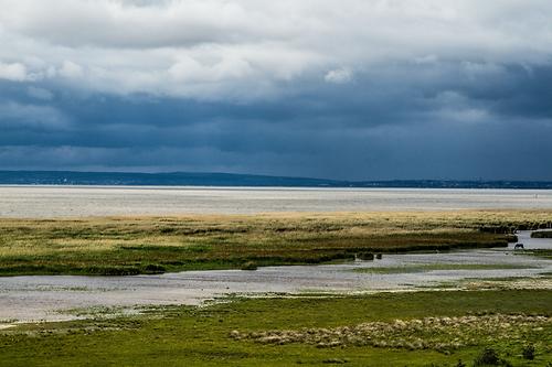 Nationalpark Neusiedlersee-Seewinkel südlich von Podersdorf Nationalpark Neusiedlersee-Seewinkel südlich von Podersdorf