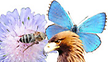 Natur Natur
