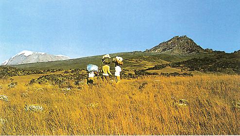 Kilimandscharo (links) und Mawensi Kilimandscharo (links) und Mawensi