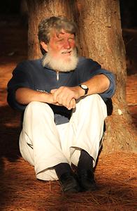 Glimpses of celebration Glimpses of celebration