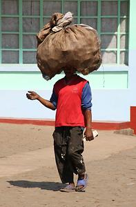 Madagascar/ mixed glimpses Madagascar/ mixed glimpses