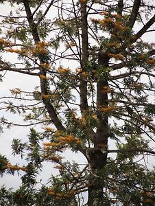 Madagascar/ mixed glimpses Madagascar/ mixed glimpses