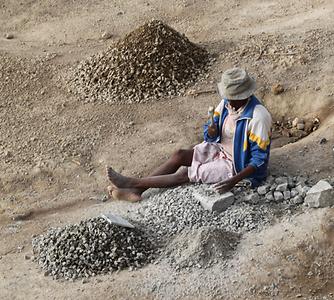 Madagascar/ mixed glimpses Madagascar/ mixed glimpses