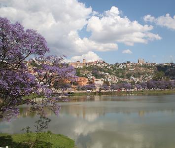 Madagascar/ mixed glimpses Madagascar/ mixed glimpses