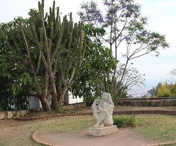 Madagascar/ mixed glimpses Madagascar/ mixed glimpses