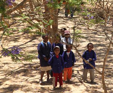 Madagascar/ mixed glimpses Madagascar/ mixed glimpses