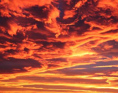 Madagascar/ mixed glimpses Madagascar/ mixed glimpses