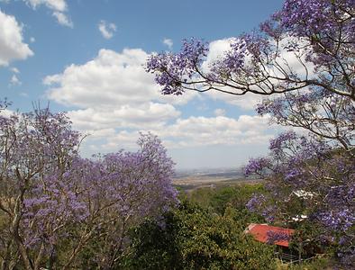 Madagascar/ mixed glimpses Madagascar/ mixed glimpses