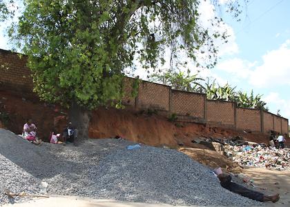 Madagascar/ mixed glimpses Madagascar/ mixed glimpses