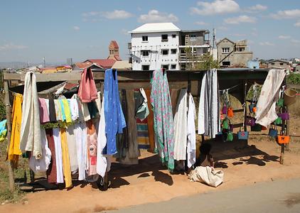 Madagascar/ mixed glimpses Madagascar/ mixed glimpses