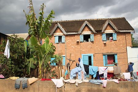 Madagascar/ mixed glimpses Madagascar/ mixed glimpses