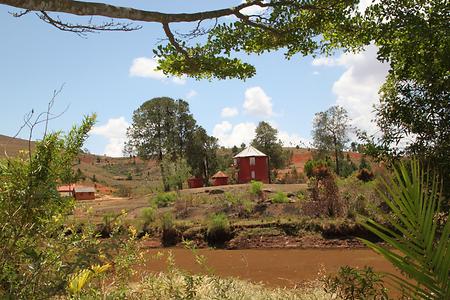 Madagascar/ mixed glimpses Madagascar/ mixed glimpses