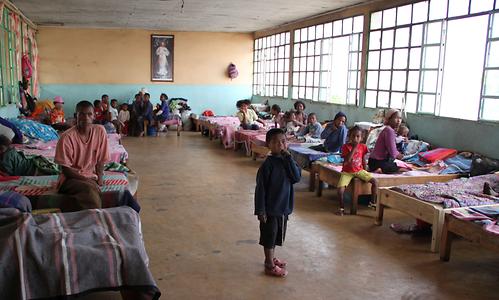 Madagascar/ mixed glimpses Madagascar/ mixed glimpses