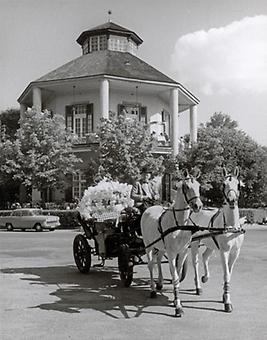 F00466262.jpg F00466262.jpg