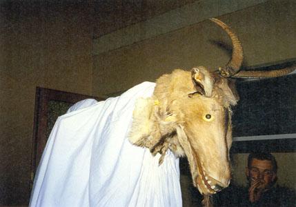 Habergeiß Habergeiß