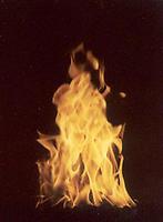 Jahresfeuer Jahresfeuer