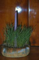 Luzienweizen Luzienweizen