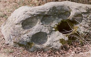 Schalenstein Schalenstein