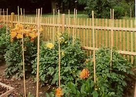 Schrebergarten Schrebergarten