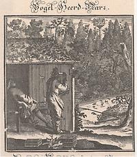 Vogelfänger Vogelfänger