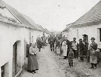 Langenlois. Weinlese in der Kellergasse Langenlois. Weinlese in der Kellergasse