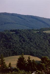 Wienerwald Wienerwald