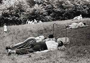 Entspannung im Wienerwald Entspannung im Wienerwald