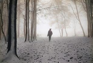 Wintermorgen Wintermorgen