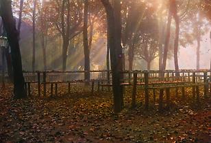 Gasthausgarten Gasthausgarten