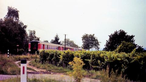 Nebenbahn der Westbahn. Eisenbahnkreuzung zwischen Lambach und Wels (Sommer 1989) Nebenbahn der Westbahn. Eisenbahnkreuzung zwischen Lambach und Wels (Sommer 1989)
