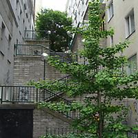 Foto: Doris Wolf, 2010; Himmelpfortstiege Foto: Doris Wolf, 2010; Himmelpfortstiege