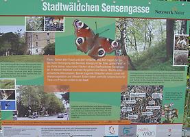 Foto: Doris Wolf, 2012; Stadtwäldchen Foto: Doris Wolf, 2012; Stadtwäldchen