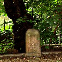 Foto: Doris Wolf, 2010; Grüner Durchgang, Wilhelm-Exner-Gasse 34 Foto: Doris Wolf, 2010; Grüner Durchgang, Wilhelm-Exner-Gasse 34