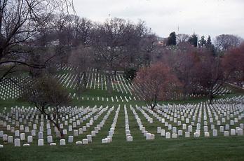 Arlington Arlington