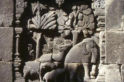 Elephant motifs Elephant motifs