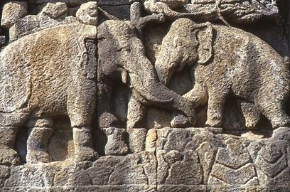 Elephant motifs Elephant motifs