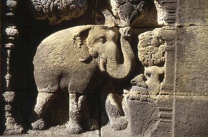 Elephant motifs Elephant motifs