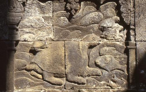 Turtle and other water dwellers Turtle and other water dwellers