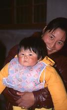 Spring Festival Spring Festival