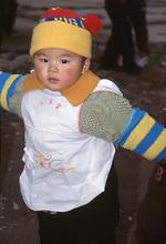 Spring Festival Spring Festival