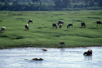 Li Jiang River Li Jiang River