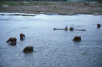 Li Jiang River Li Jiang River