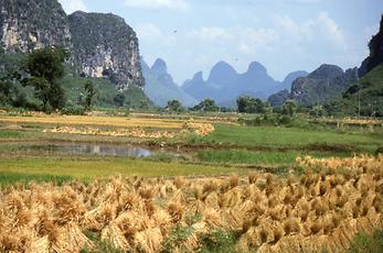 Li Jiang River Li Jiang River