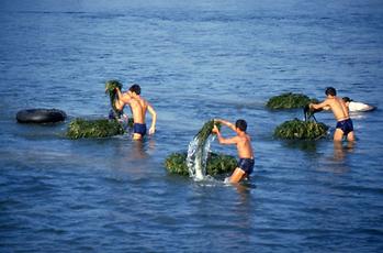 Li Jiang River Li Jiang River