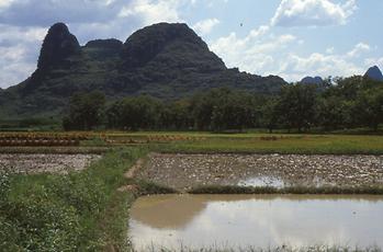 Li Jiang River Li Jiang River